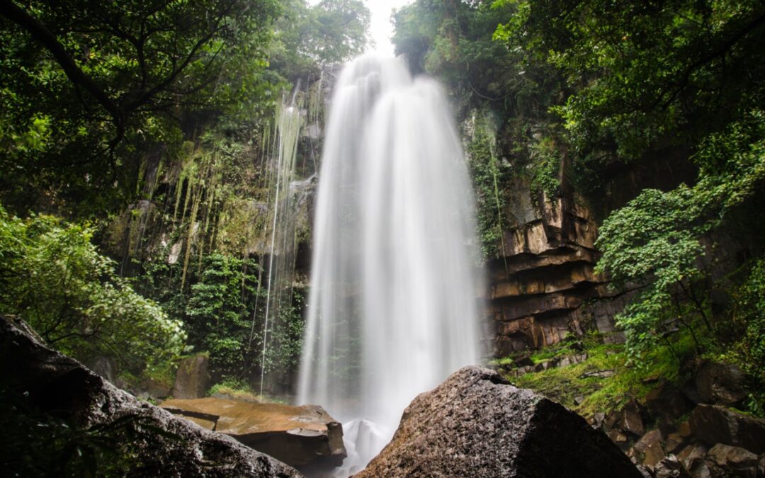 Le parc National de Kirirom